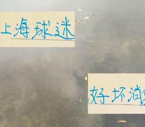 壞消息！每次間歇期北京國安都出問題好消息能給足協杯攢經驗值