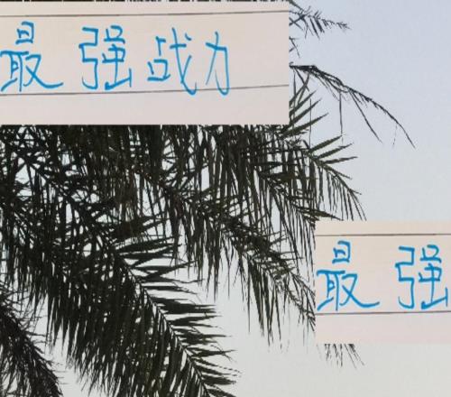 最強戰力都在包廂情況下！申花進攻和防守都排第二前俄教練厲害